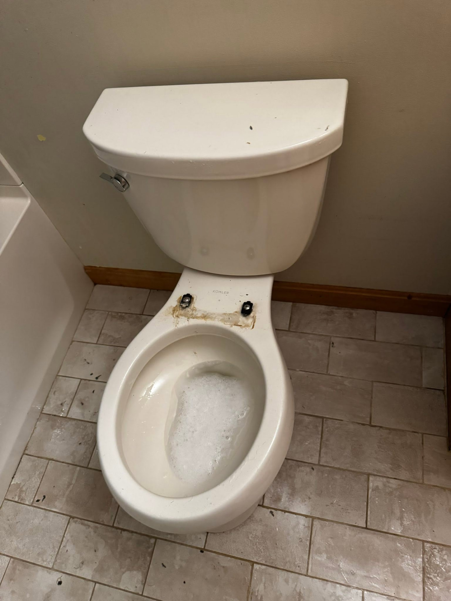 Toilet before professional cleaning